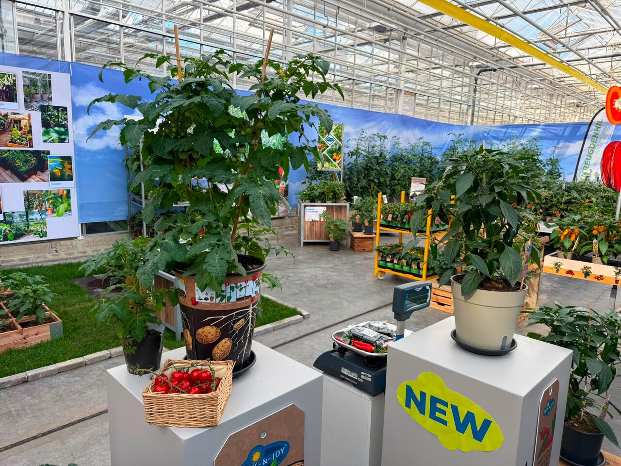 Flower Trials