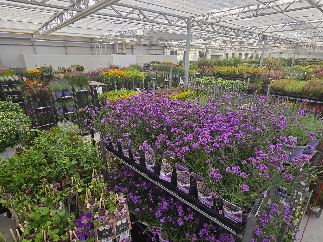 Vakantie voorbij, kamer(plant) erin!