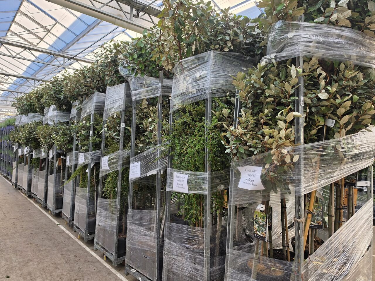 Vakantie voorbij, kamer(plant) erin!