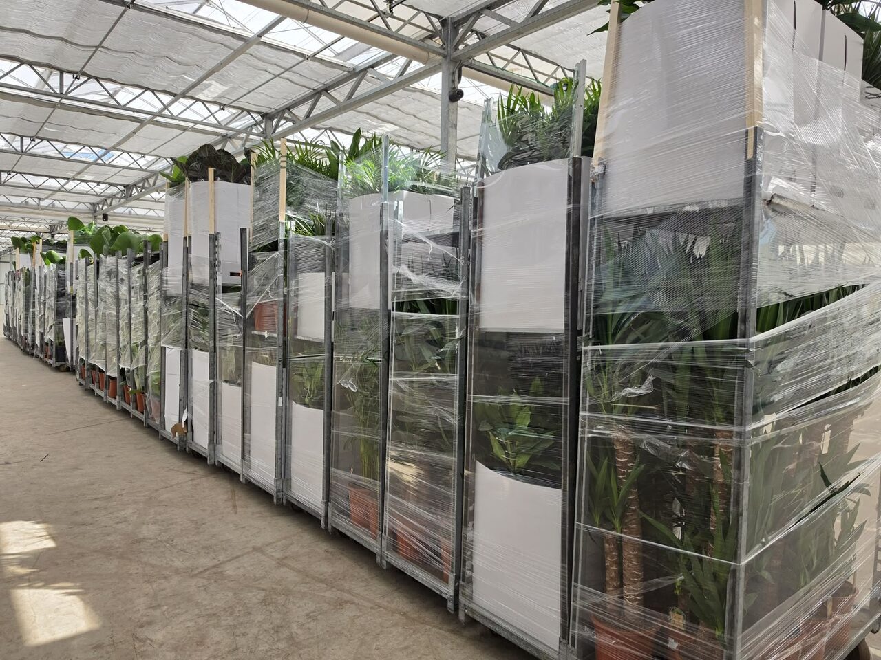 Vakantie voorbij, kamer(plant) erin!