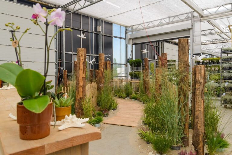 Sneak preview van onze najaarsbeurs 🍂🌿 Sneak preview van onze najaarsbeurs