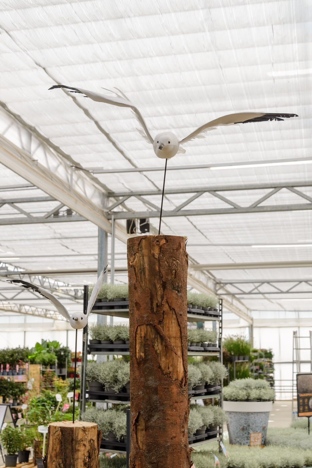 De Plant Collect najaarsbeurs is geopend!