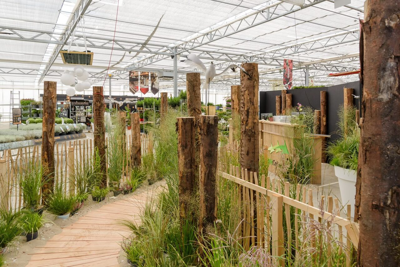 De Plant Collect najaarsbeurs is geopend!