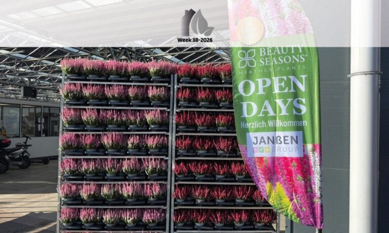 Week 38 | Vol passie in het groen | Uitgelicht Week 38 | Vol passie in het groen | Uitgelicht