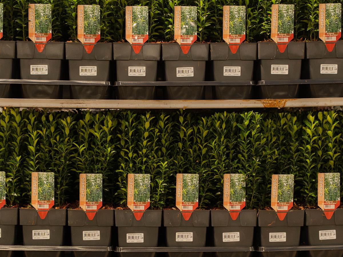 Plantes de jardin avec une étiquette d'information sur chaque pot