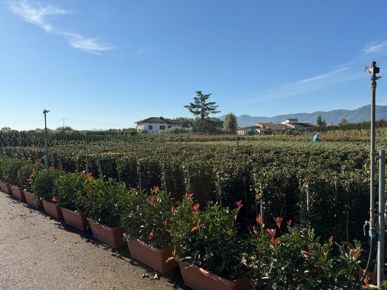Inkopen in Pistoia voor de Voorjaarsbeurs 2027