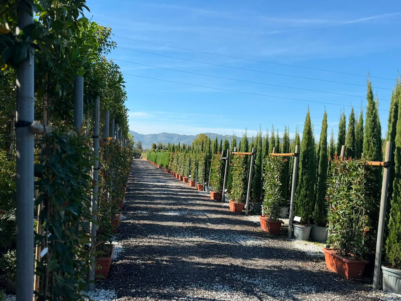 Inkopen in Pistoia voor de Voorjaarsbeurs 2027