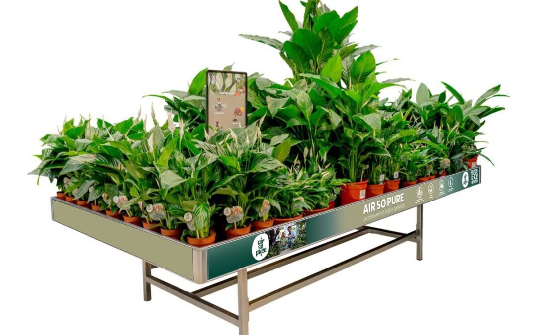 Concepttafel Air So Pure met luchtzuiverende kamerplanten