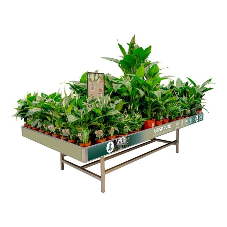 Concept Air So Pure Concepttafel Air So Pure met luchtzuiverende kamerplanten