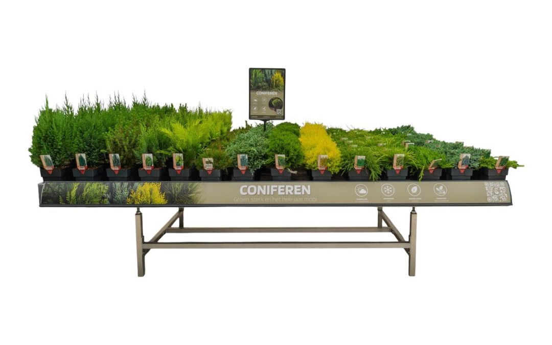 Concepttafel met coniferen in verschillende kleuren