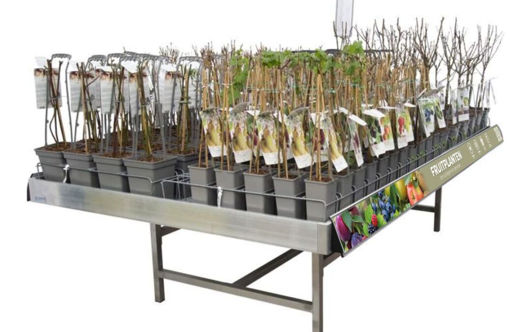 Concepttafel met fruitplanten in potten
