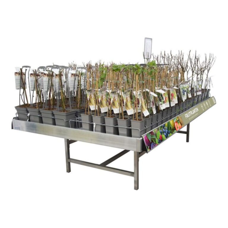 Concept Fruitplanten Concepttafel met fruitplanten in potten
