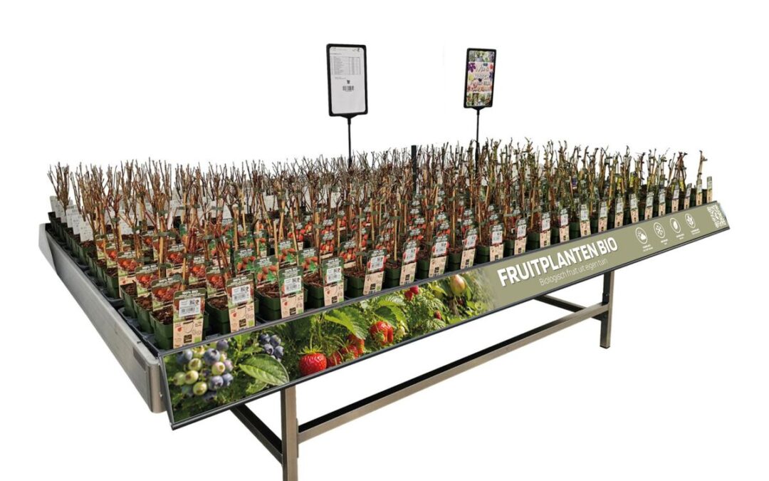 Concepttafel met biologische fruitplanten