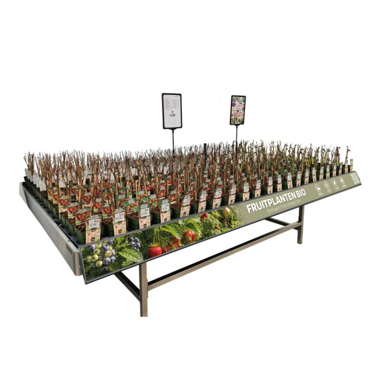 Concept Fruitplanten Bio Concepttafel met biologische fruitplanten