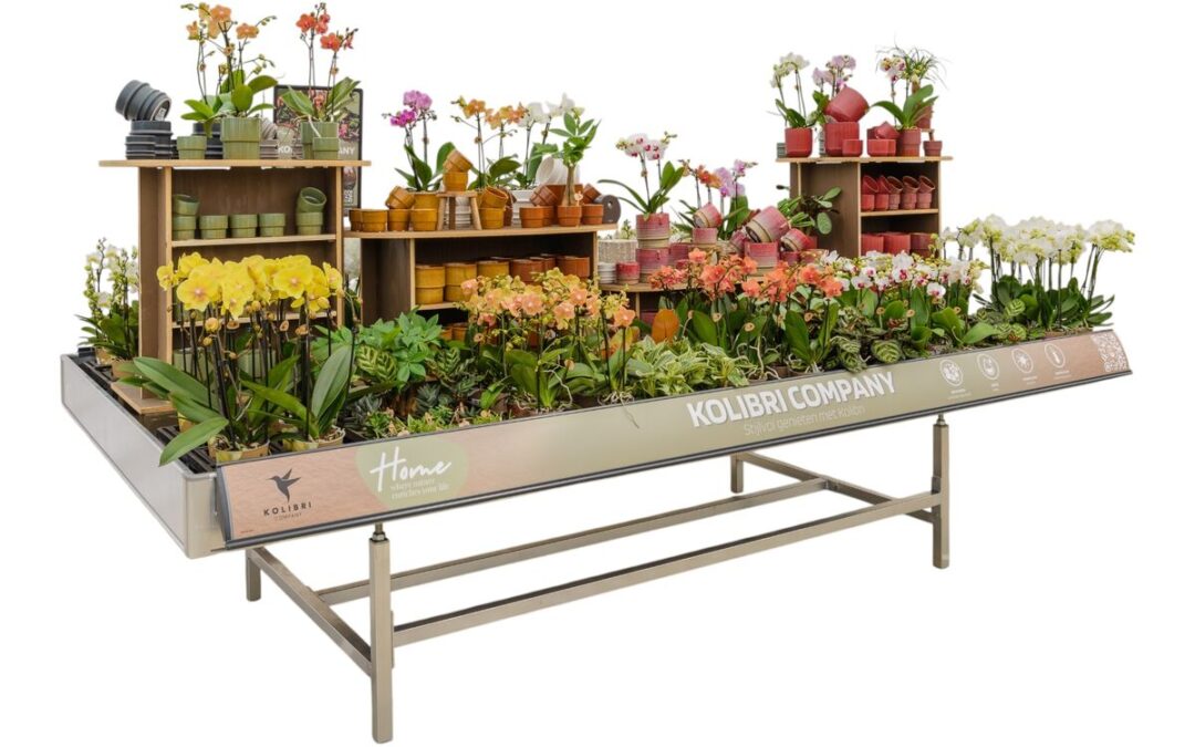 Concepttafel Kolibri met orchideeën en potten op houten rekken