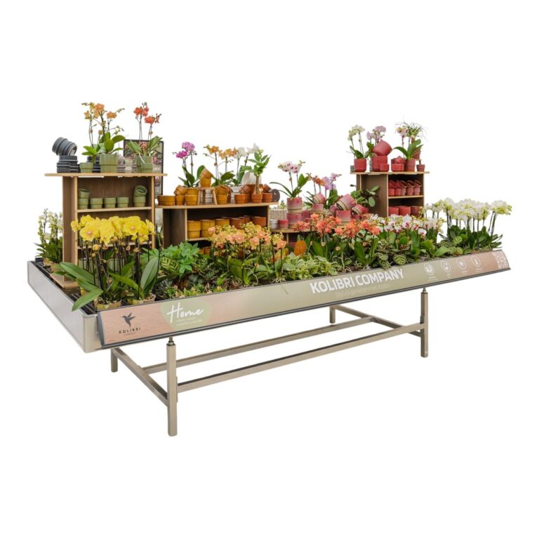 Concept Kolibri Orchideeën Concepttafel Kolibri met orchideeën en potten op houten rekken