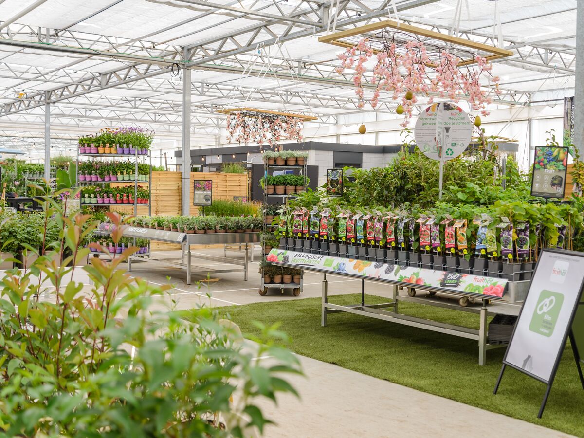 Gestaltete Präsentationstische mit Gartenpflanzen auf Kunstrasen