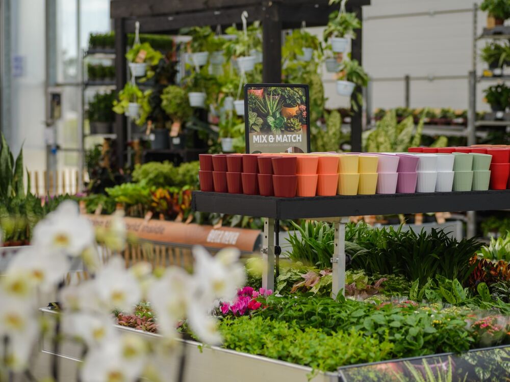 Table concept Mix & Match avec plantes d'intérieur, pots colorés et orchidées
