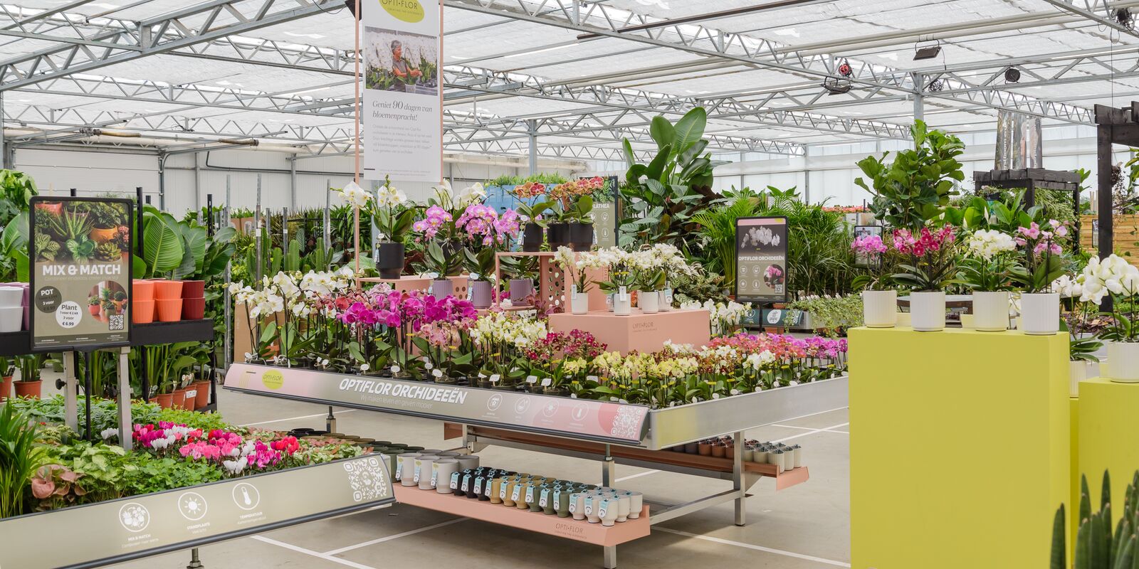 Table de présentation aménagée avec plantes d'intérieur fleuries et orchidées